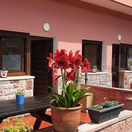 Apartamentos Fermin Onís エクステリア 写真